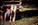 Family Photography by Dayton Photographer Alex Sablan