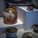 Dustin Harris Pottery