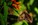 Butterfly House - Dayton Photographer Alex Sablan